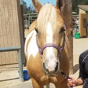 Meet your Posher, Skye